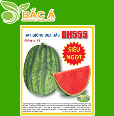 Hạt Giống Dưa Hấu DH 555