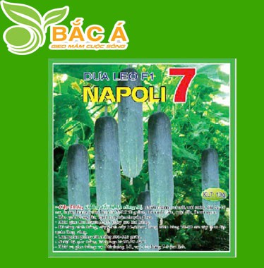 Hạt Giống Dưa Leo F1 NAPOLI