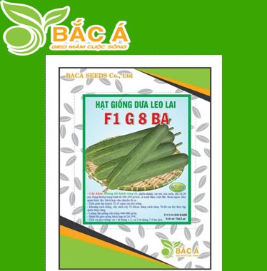 Hạt Giống Dưa Leo Lai F1 G8 BA
