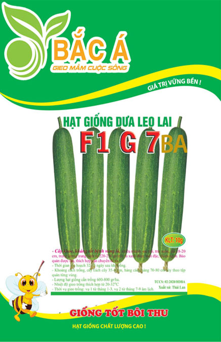 CÁC LOẠI GIỐNG HOA MÀU